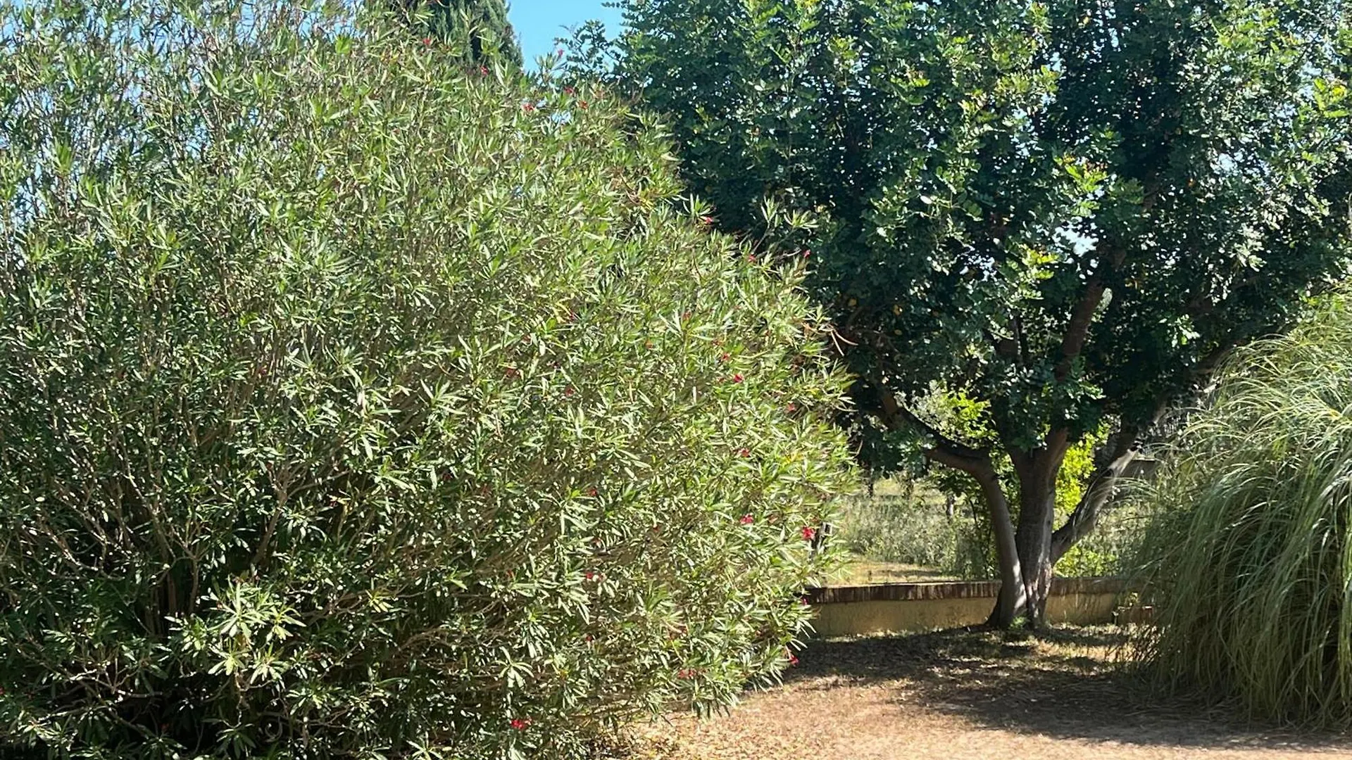 Guest Garden Apartment Casale Salici Baratti Venturina Terme
